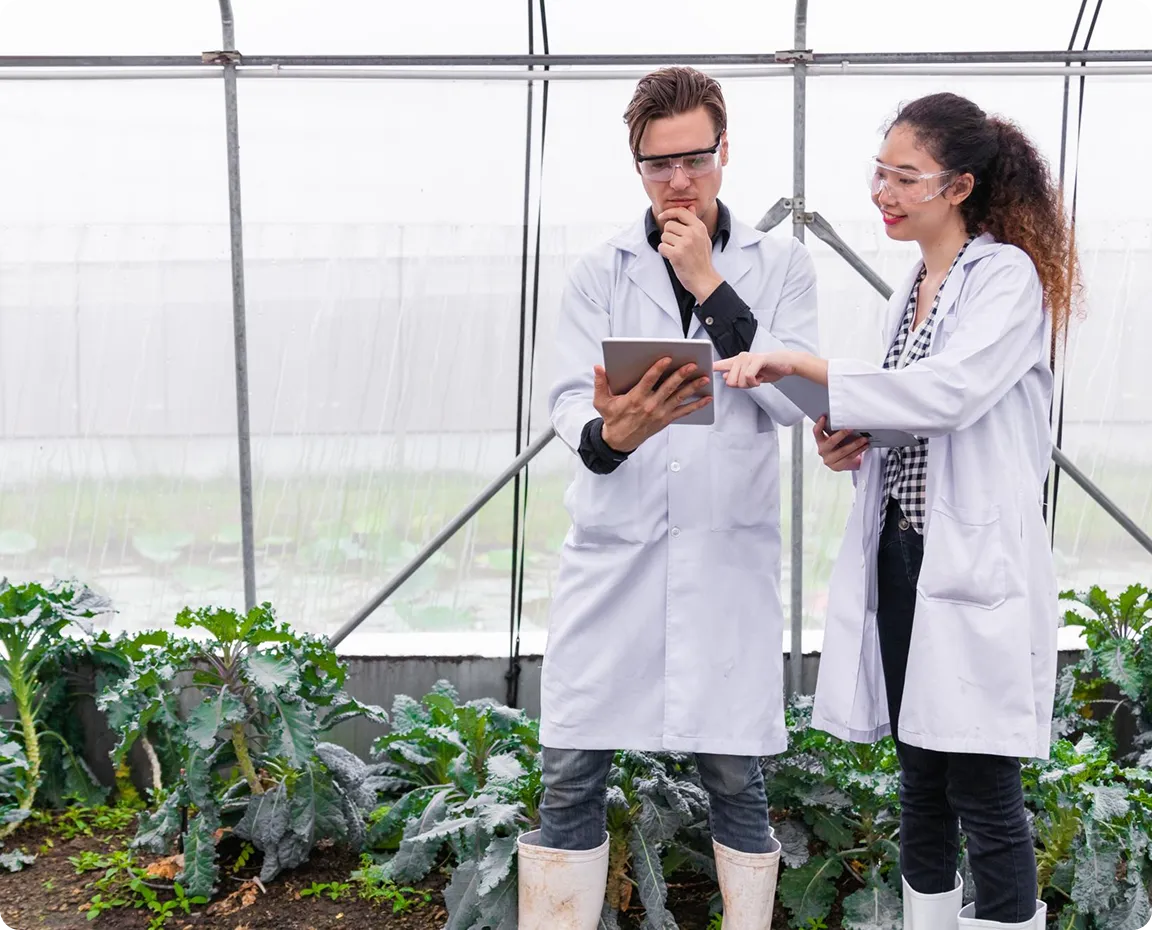 Agrochemicals, Lubricants & Seeds